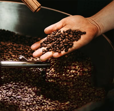 Ziarna kawy w młynku z niektórymi ziarnami kawy w dłoni