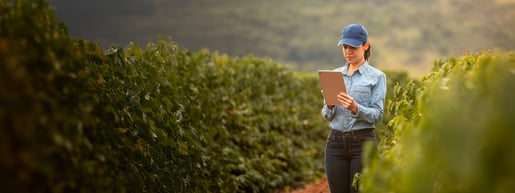 woman in field